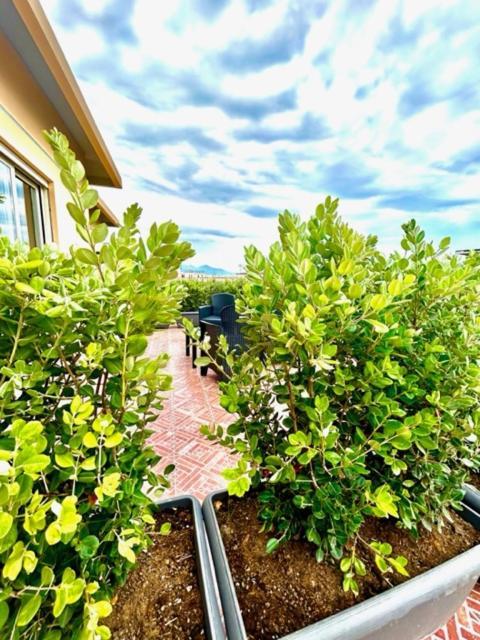 Aqua B&B - Rooms And Apartments Milazzo Luaran gambar